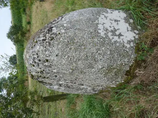Monte Escalier 22 Installateur Monte Escalier Plaintel