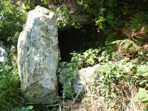 Monte Escalier 22 Installateur Monte Escalier Plénée-Jugon
