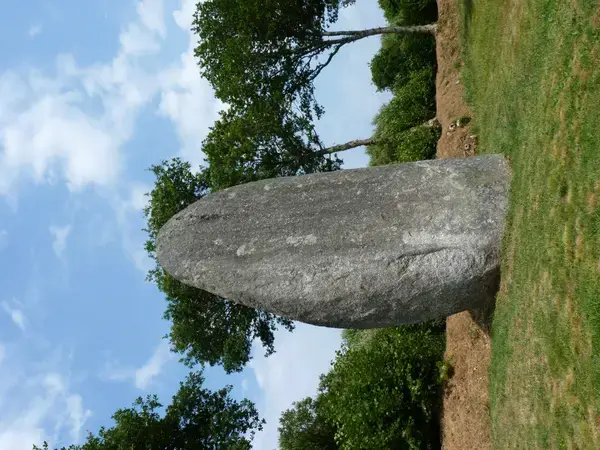 Monte Escalier 22 Installateur Monte Escalier Plésidy