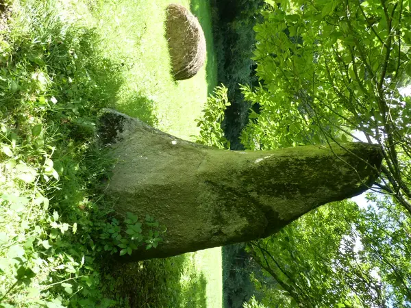 Monte Escalier 22 Installateur Monte Escalier Plouvara