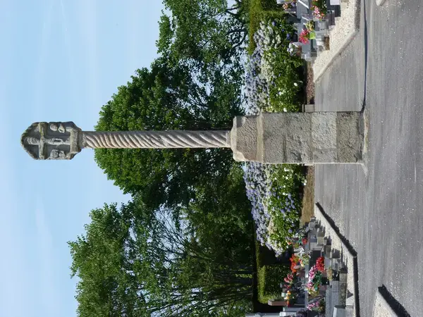 Monte Escalier 22 Installateur Monte Escalier Plumieux